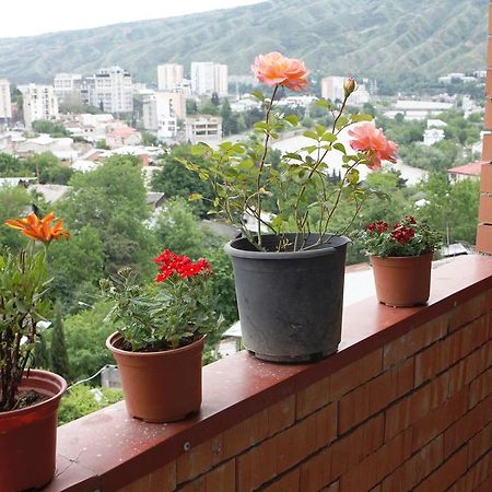 My House Is Your Hotel Tbilisi Rom bilde