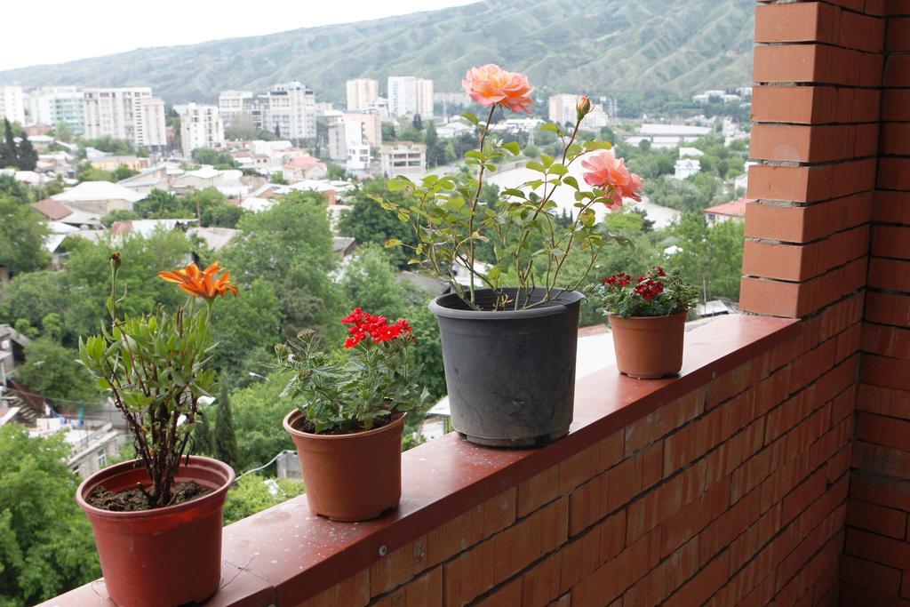 My House Is Your Hotel Tbilisi Rom bilde